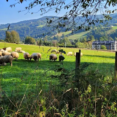 Appartement Oaza Spokojna 24 *