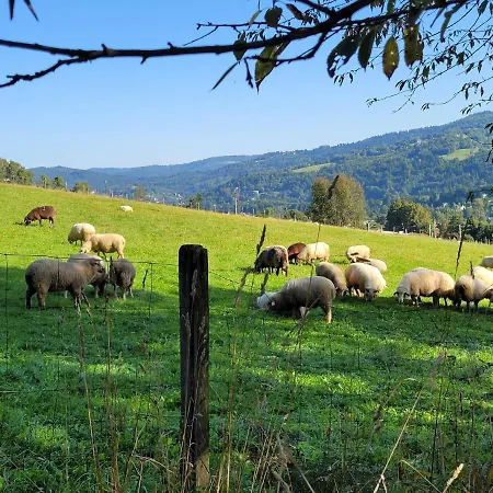 Appartement Oaza Spokojna 24 Wisła