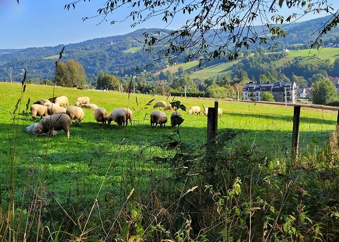 アパート Oaza Spokojna 24 *