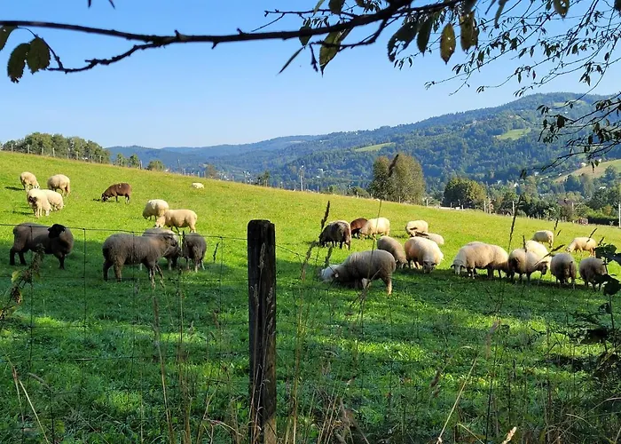 アパート Oaza Spokojna 24 ヴィスワ